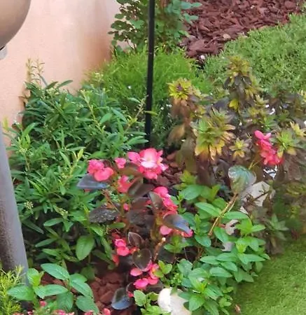 Bed & Breakfast Vista Su Roma