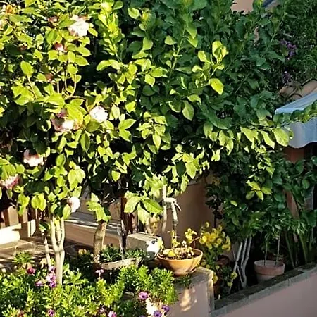 Vista Su Roma 3*