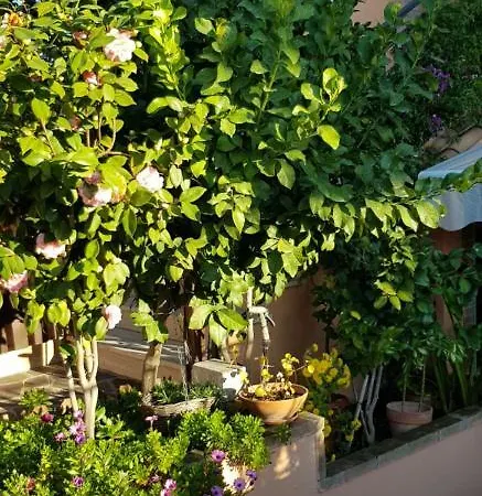 Vista Su Roma Bed & Breakfast Marco Simone